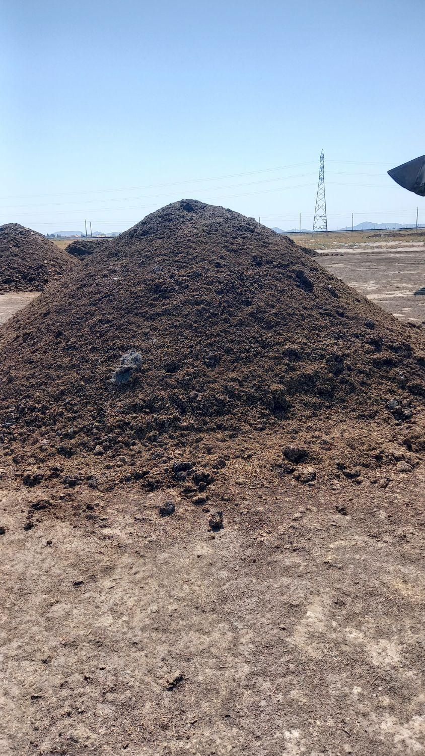 کودکهنه پوسیده گاوی و گوسفندی سوخته نرم|خدمات باغبانی و درختکاری|ماهدشت, |دیوار