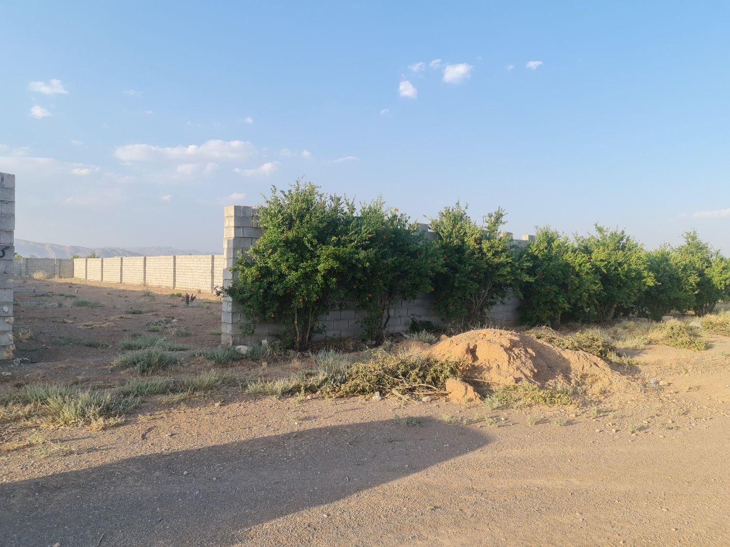 زمین باغی ۱۲۱۰ متر چهاردیواری جلال اباد|فروش زمین و ملک کلنگی|نجف‌آباد, جلال آباد|دیوار