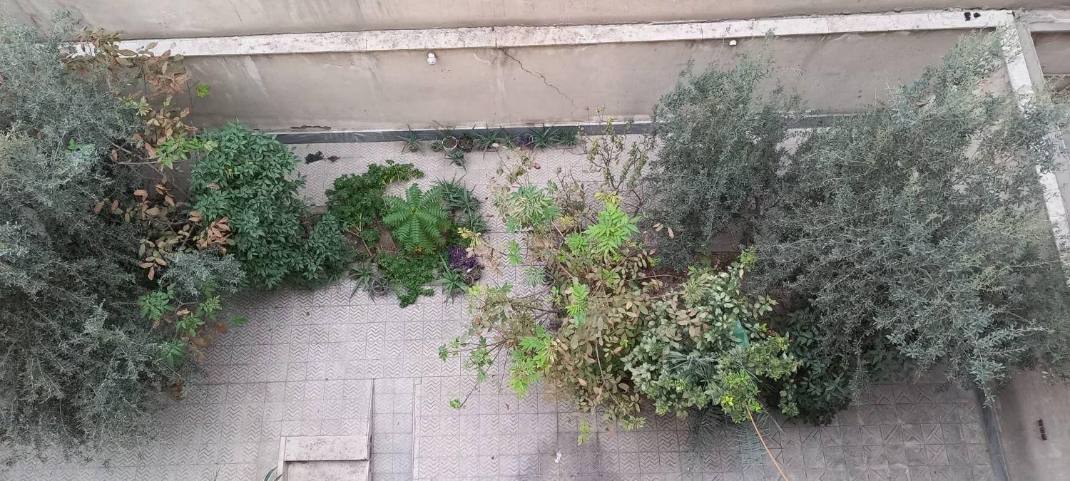 ۶۶ متر گمرک|اجارهٔ آپارتمان|تهران, گمرک|دیوار
