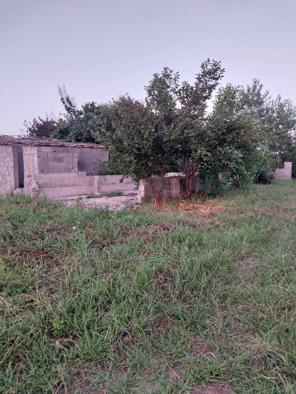 فروش۳۵۰متری/زمین مسکونی/ویوشالیزاربرجاده/اطراف شفت|فروش زمین و ملک کلنگی|شفت, |دیوار