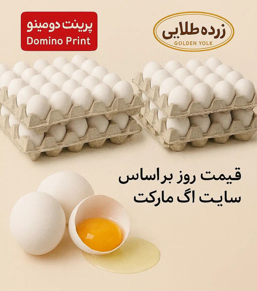 فروش تخم‌مرغ صنعتی ویژه سوپرمارکت‌ها و فروشگاه‌ها|خوردنی و آشامیدنی|یزد, |دیوار