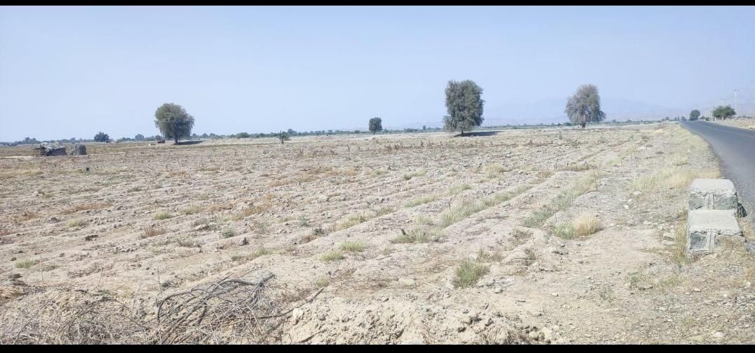 فروش سه هکتارونیم زمین کشاورزی زیارت مولامیناب|فروش دفتر صنعتی، کشاورزی، تجاری|میناب, |دیوار