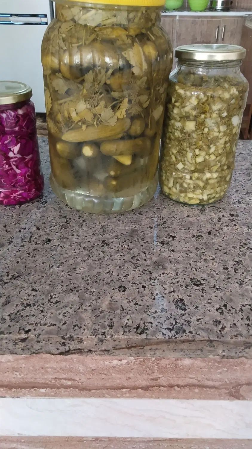 ترشی کلم قرمز و خیار شور تار و خیار شویت تازه|خوردنی و آشامیدنی|مهاباد (آذربایجان غربی), |دیوار