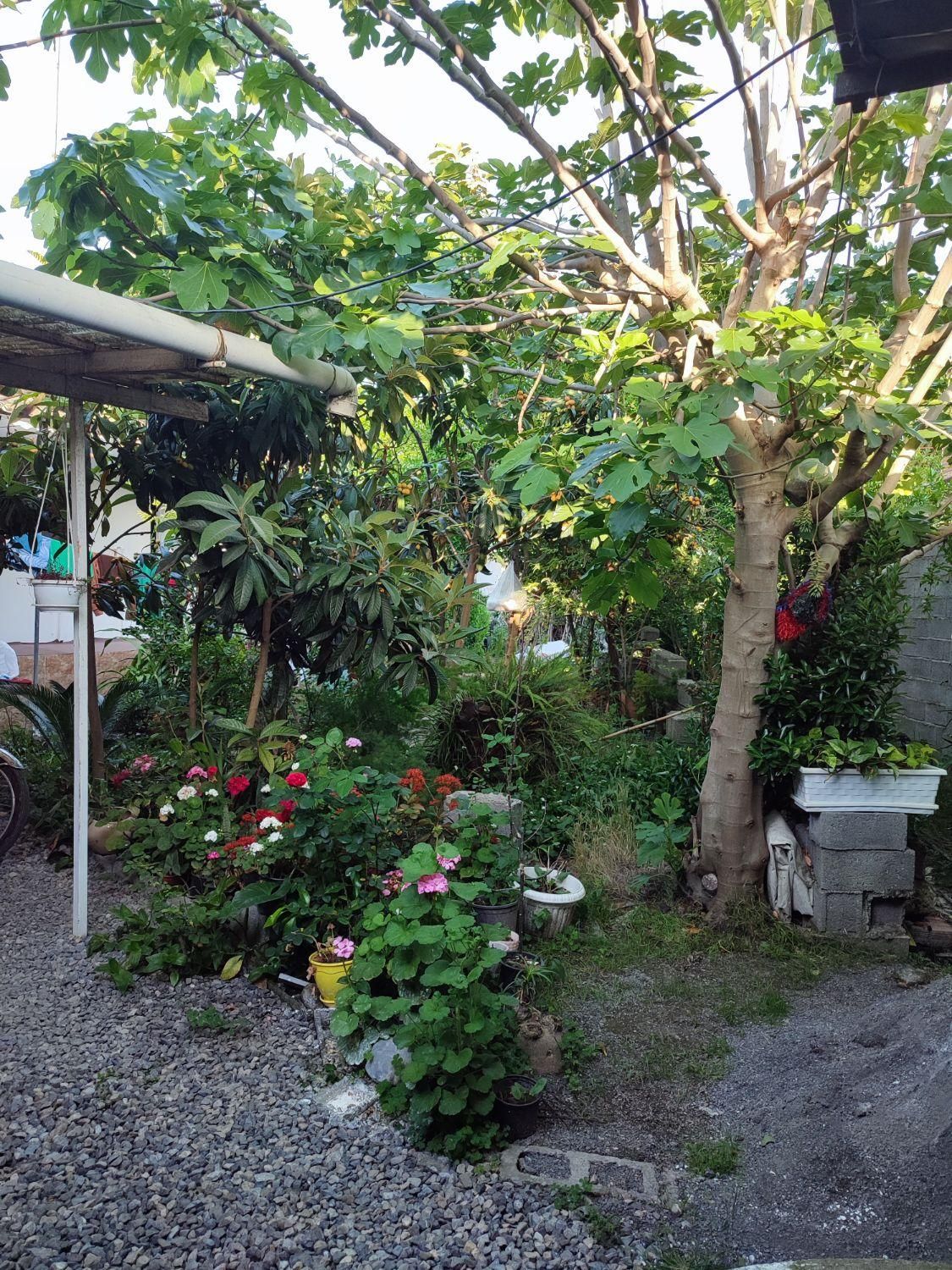 فروش باغ و ویلا کلنگی به متراژ ۳۳۵متردارای سند|فروش زمین و ملک کلنگی|دابودشت, |دیوار