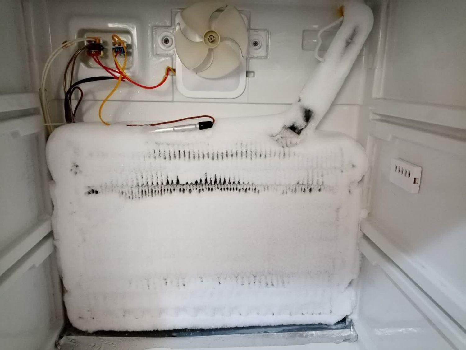 تعمیرات انواع یخچال های خانگی و صنعتی|خدمات پیشه و مهارت|بوشهر, |دیوار