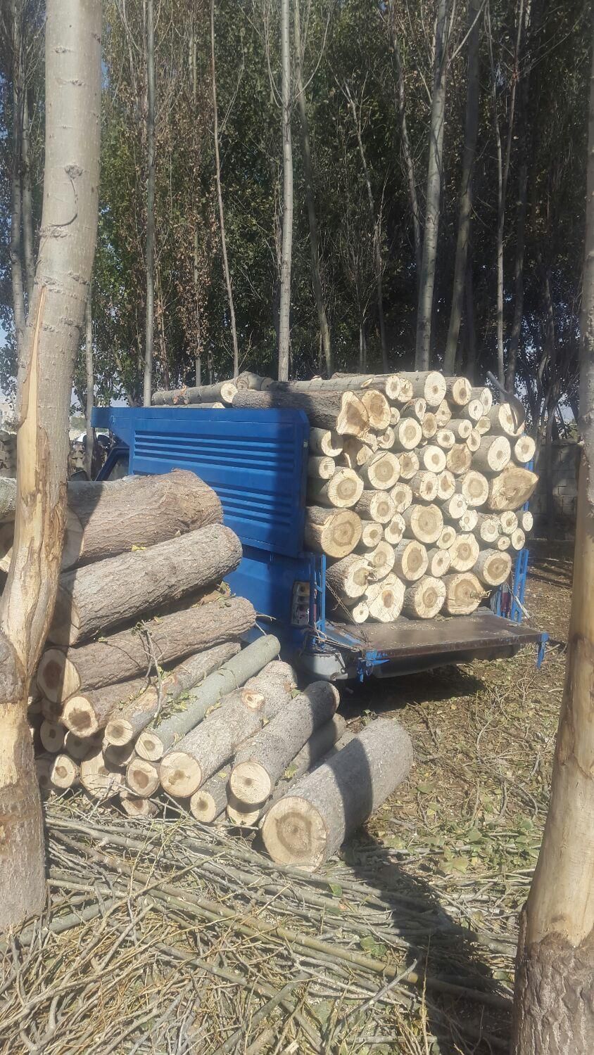 خریدار درخت سرپا وچوب خشک|خدمات باغبانی و درختکاری|اردبیل, |دیوار