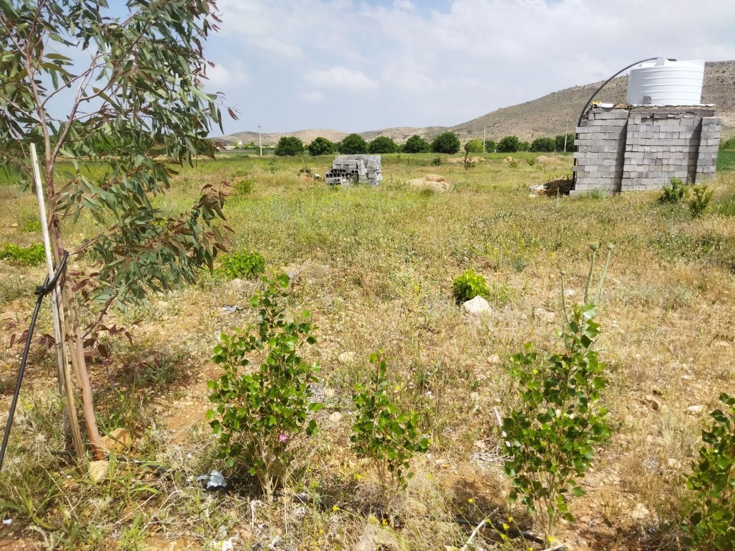 باغ حسین اباد بیضا|فروش زمین و ملک کلنگی|بیضا, |دیوار