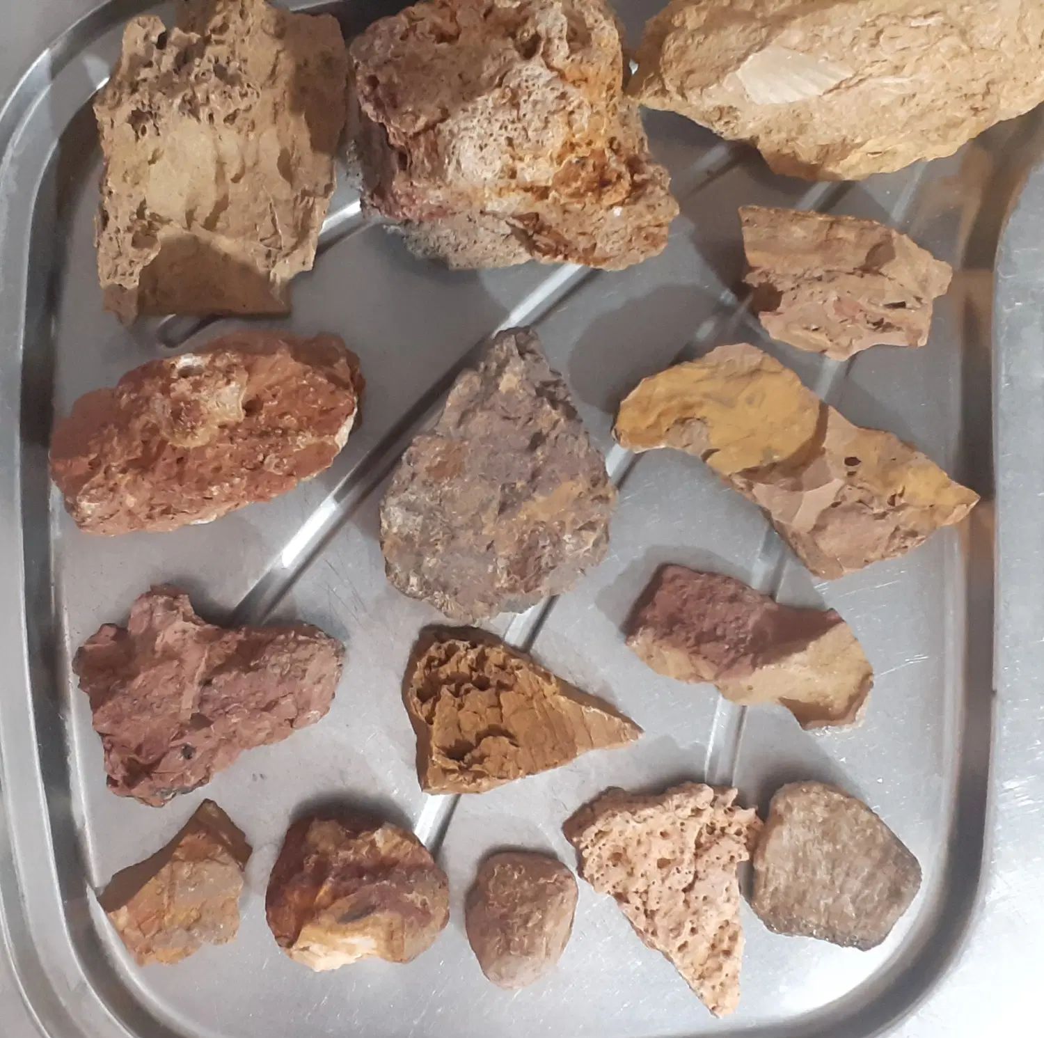 سنگ های صخره ای|گل و گیاه طبیعی|اصفهان, دارک|دیوار
