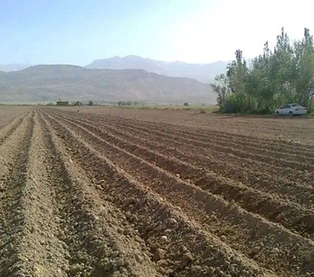 زمین فروشی ۳ هزار متری بالاتر از فاز ۷ گلشهر|فروش زمین و ملک کلنگی|زنجان, |دیوار