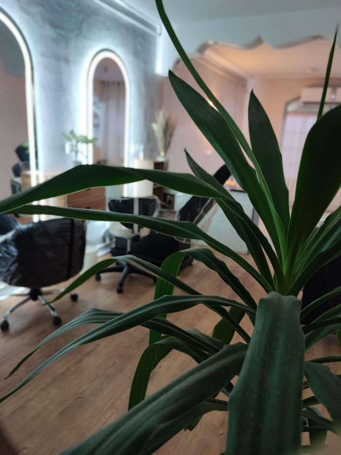 مرکززیبایی و لیزر آکو|خدمات آرایشگری و زیبایی|اندیمشک, |دیوار