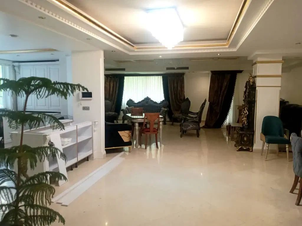 کامرانیه ۲۵۰ متر( با مشاعات )تبدیل تا رهن|اجارهٔ آپارتمان|تهران, کامرانیه|دیوار