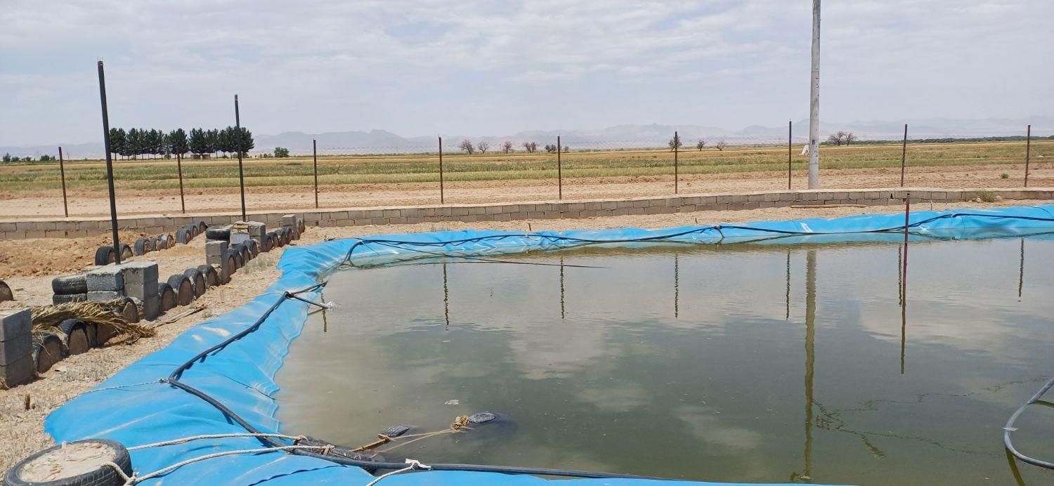 فروش زمین باغی با سند|فروش زمین و ملک کلنگی|اصفهان, قهجاورستان|دیوار