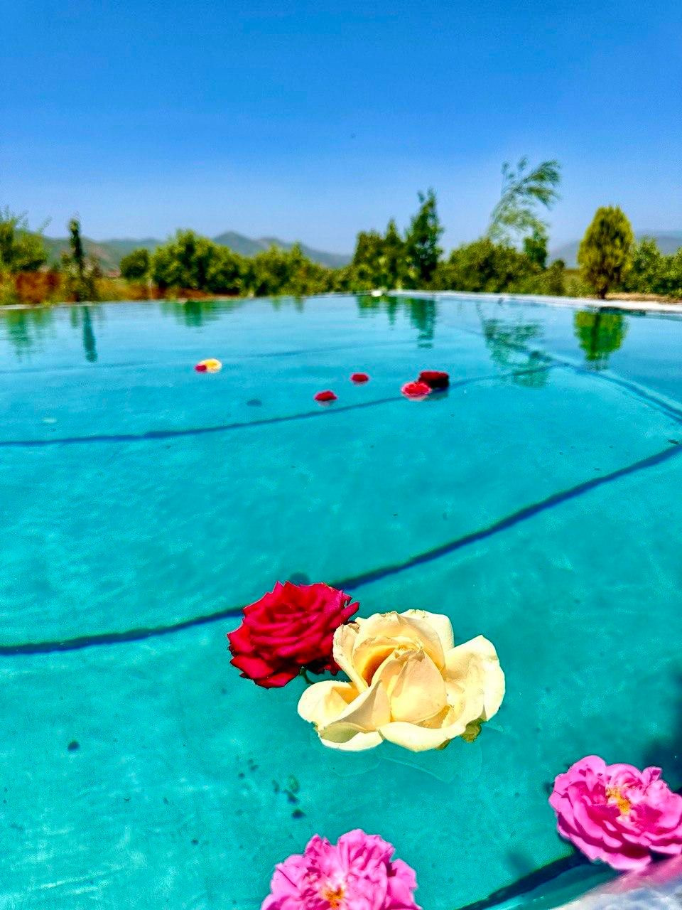 ویلا باغ اجاره  لاک چری با ویوی بینظیر|اجارهٔ کوتاه‌مدت ویلا و باغ|مریوان, |دیوار