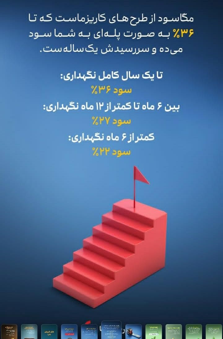 سرمایه گذاری بالاتر از سیستم بانکی (کاریزمن شو)|خدمات مالی، حسابداری، بیمه|تهران, پاتریس لومومبا|دیوار