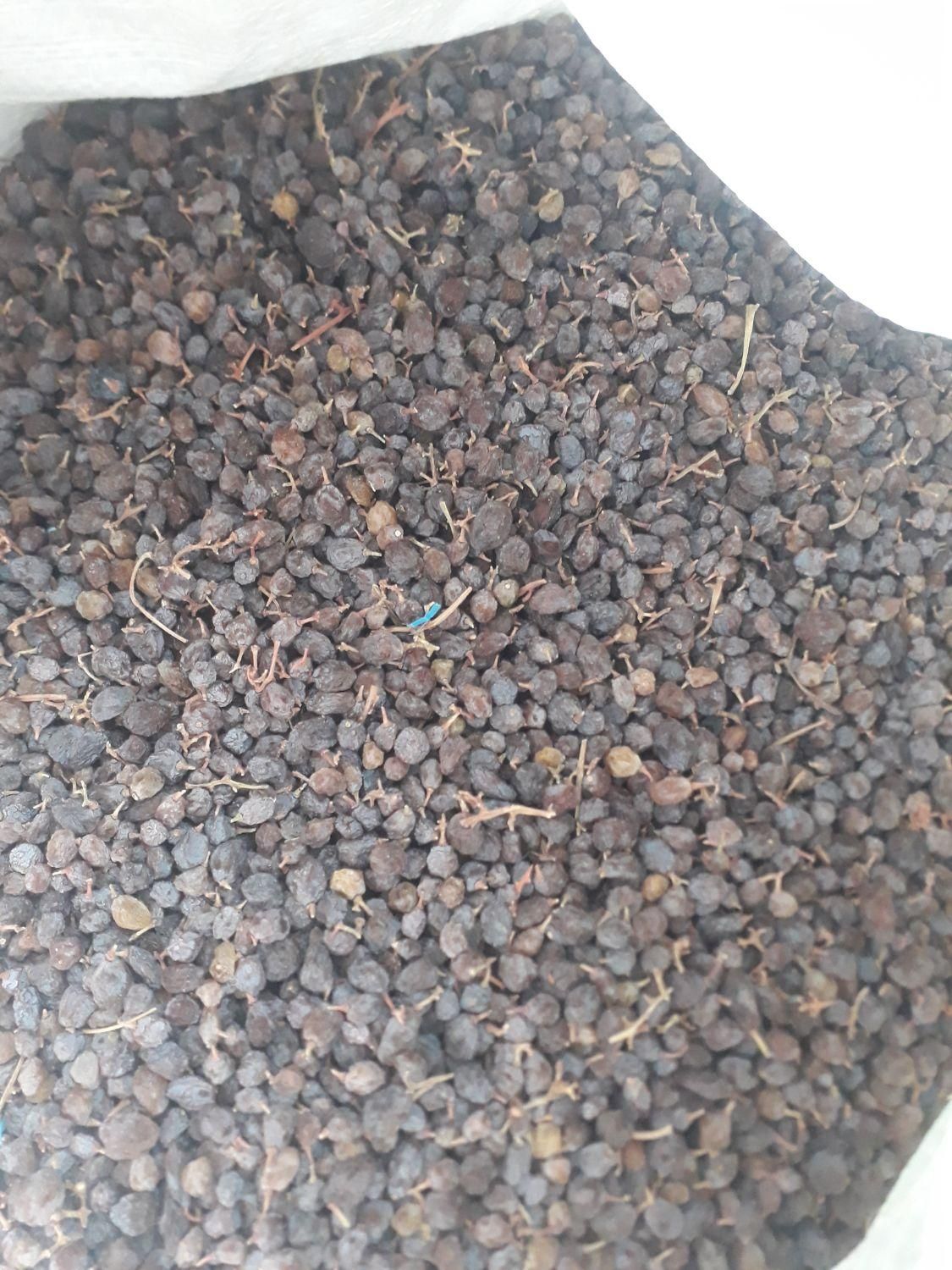 کشمش،مویز آفتابی بوانات شهدار گوشتی شیرین آمیرزا|عمدهفروشی|یزد, |دیوار