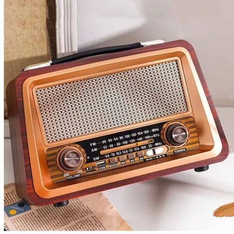 رادیو اسپیکر اصلی RAISENG-R-2066BT|پخش‌کننده همراه|تهران, اختیاریه|دیوار