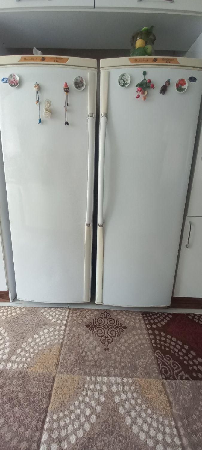 یخچال دوقلو الکترو استیل|یخچال و فریزر|کرمانشاه, |دیوار