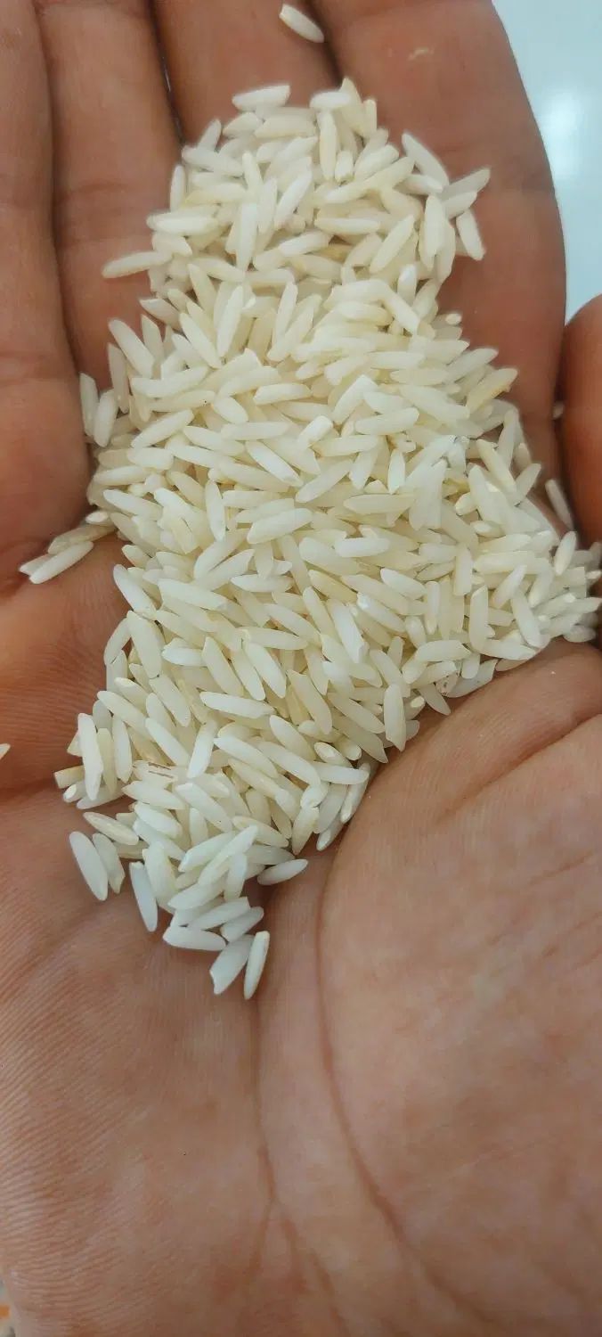 فروش برنج هاشمی درج یک|خوردنی و آشامیدنی|رشت, عینک|دیوار