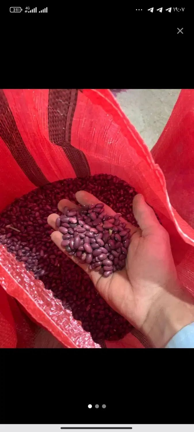فروش عمده لوبیا چیتی و لوبیا قرمز|خوردنی و آشامیدنی|تهران, شهرک محلاتی|دیوار