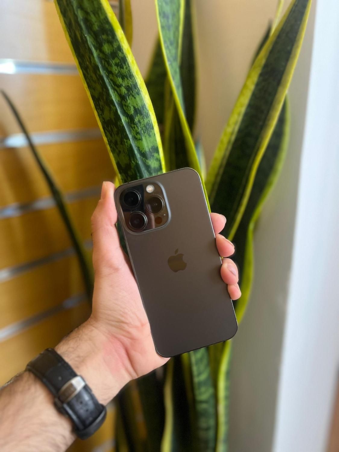 Iphone 13 pro 256|موبایل|اصفهان, احمدآباد|دیوار