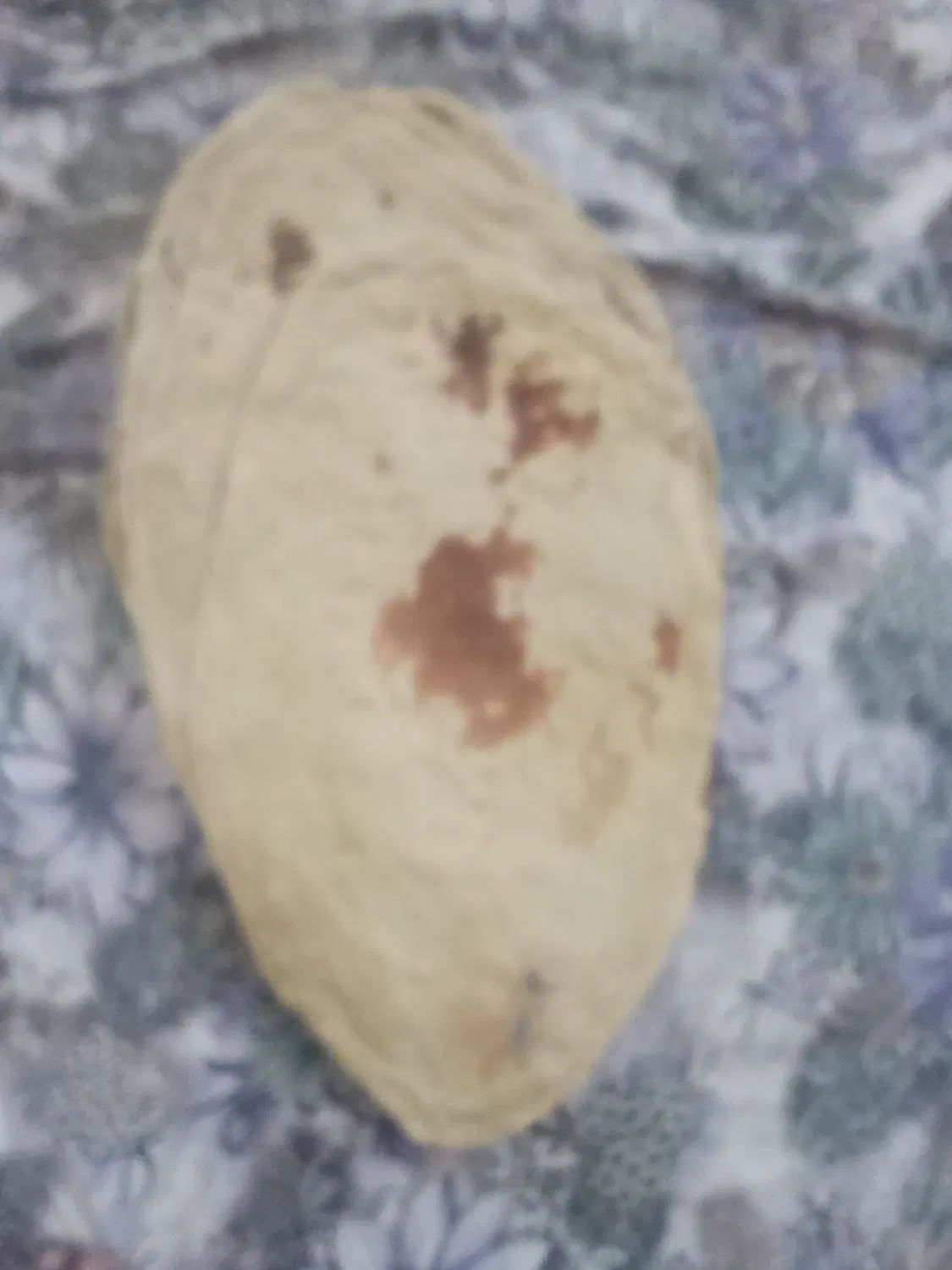 نان خانگی|خوردنی و آشامیدنی|مشهد, فارغ التحصیلان|دیوار