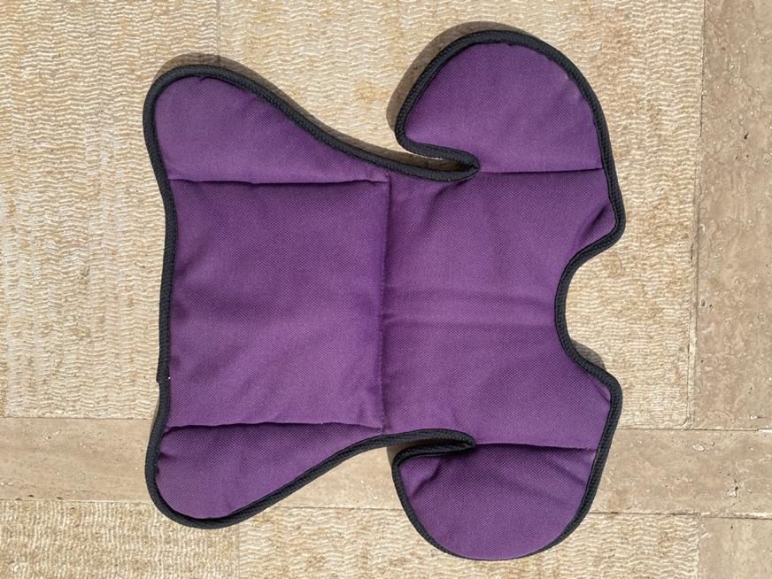 صندلی کودک Besafe IZI Comfort  X3|کالسکه و لوازم جانبی|تهران, الهیه|دیوار