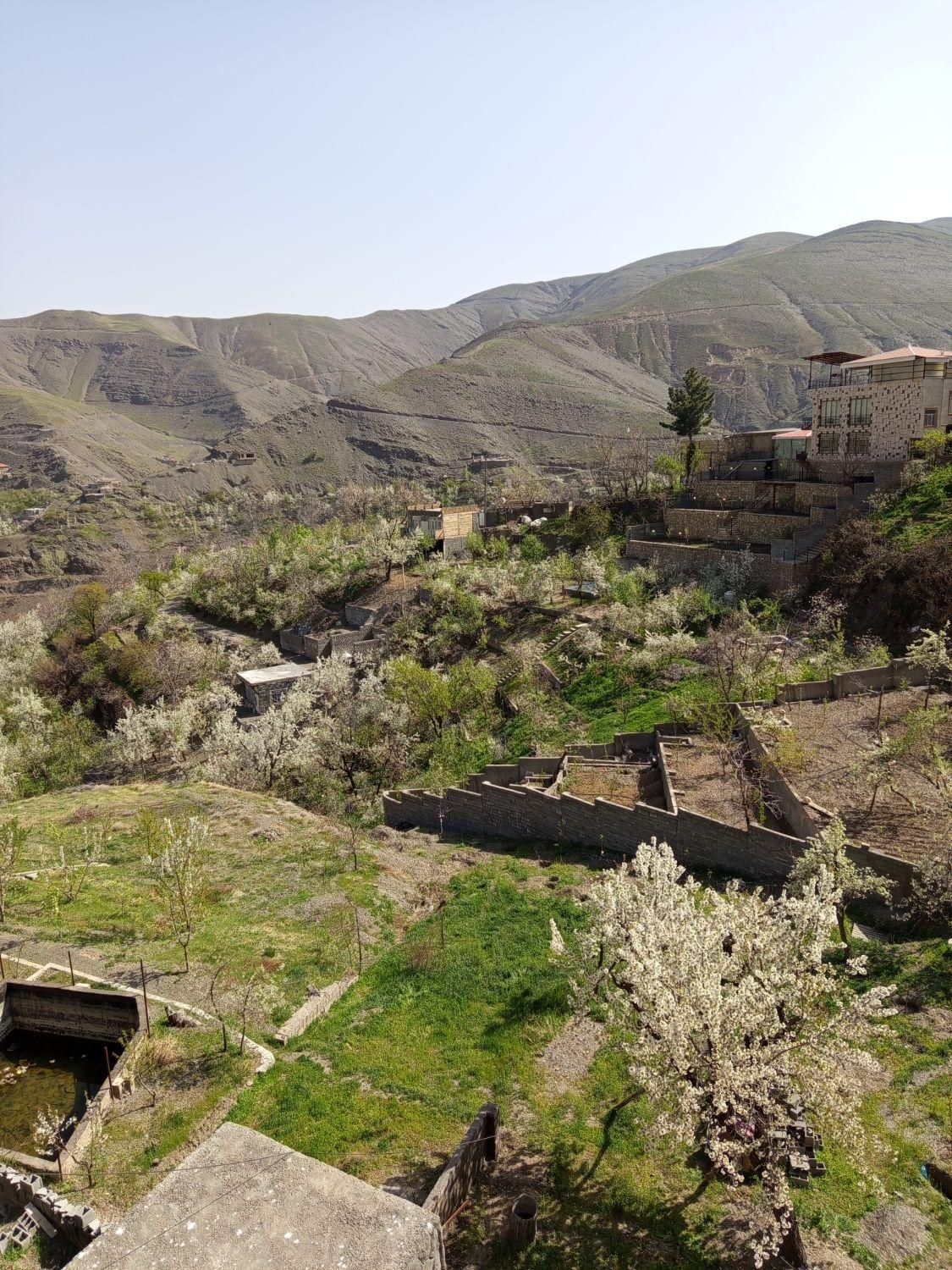 سوئیت زشک|اجارهٔ کوتاهمدت آپارتمان و سوئیت|شاندیز, |دیوار