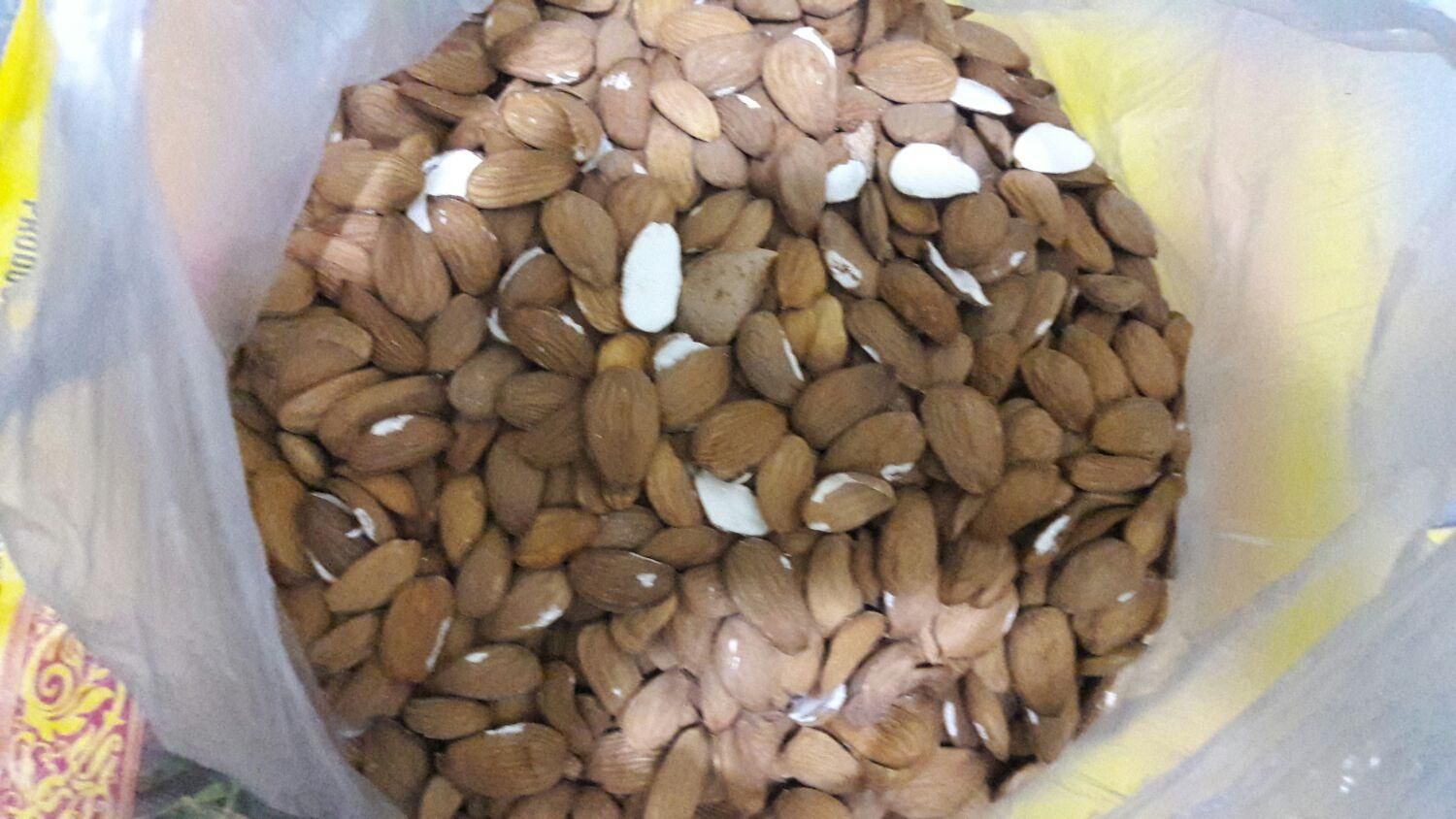 حدود ۵کیلو مغز بادام تلخ درشت وعالی امسالی|خوردنی و آشامیدنی|اصفهان, کشاورزی|دیوار