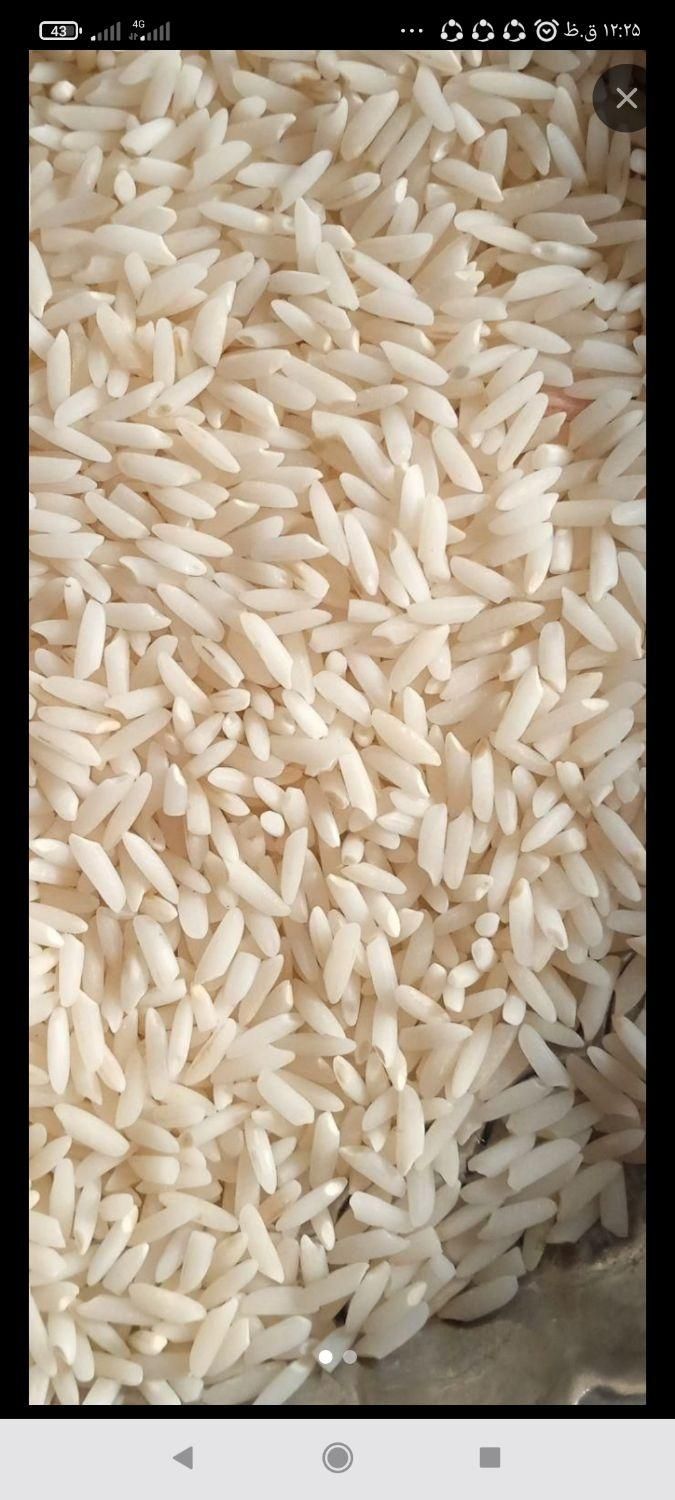 برنج هاشمی محلی|خوردنی و آشامیدنی|بروجرد, |دیوار