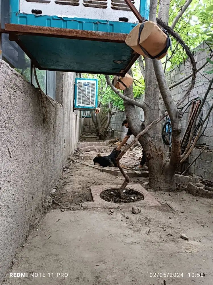 کارگاه و گاراژ سوله خرپا انشعابات صنعتی هزار متر|اجارهٔ دفتر صنعتی، کشاورزی، تجاری|اندیشه, اندیشه فاز ۱|دیوار