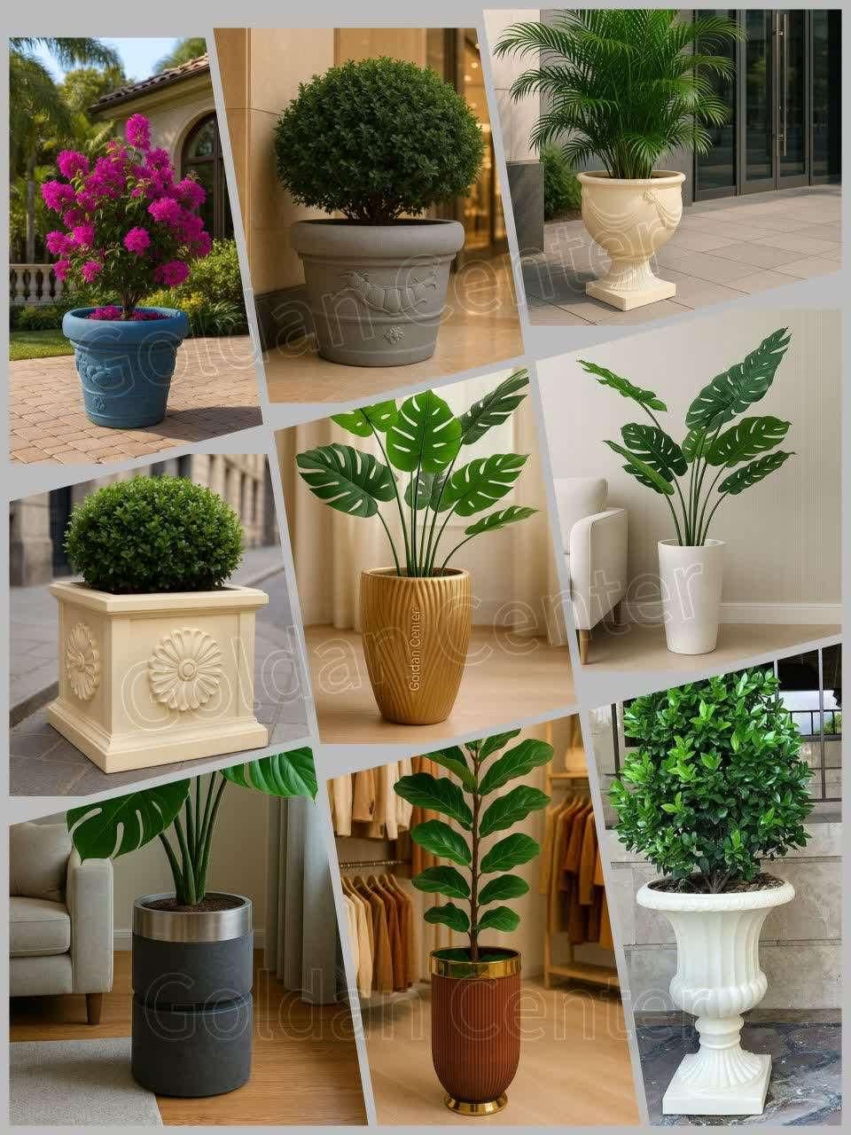 فروش گلدان مربعی بزرگ شهری فضای باز سبک وزن|گل و گیاه طبیعی|اسکو, |دیوار
