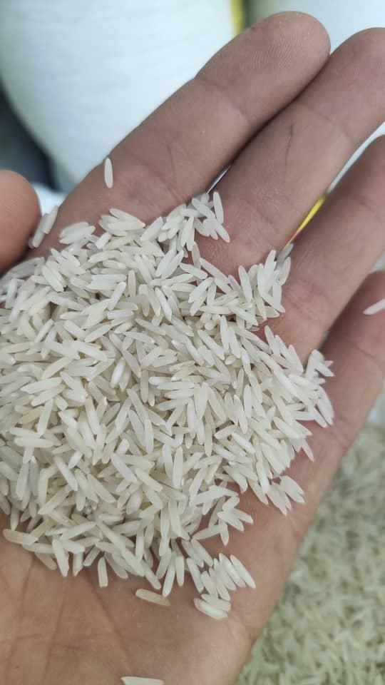 برنج هاشمی|خوردنی و آشامیدنی|رباط‌کریم, |دیوار