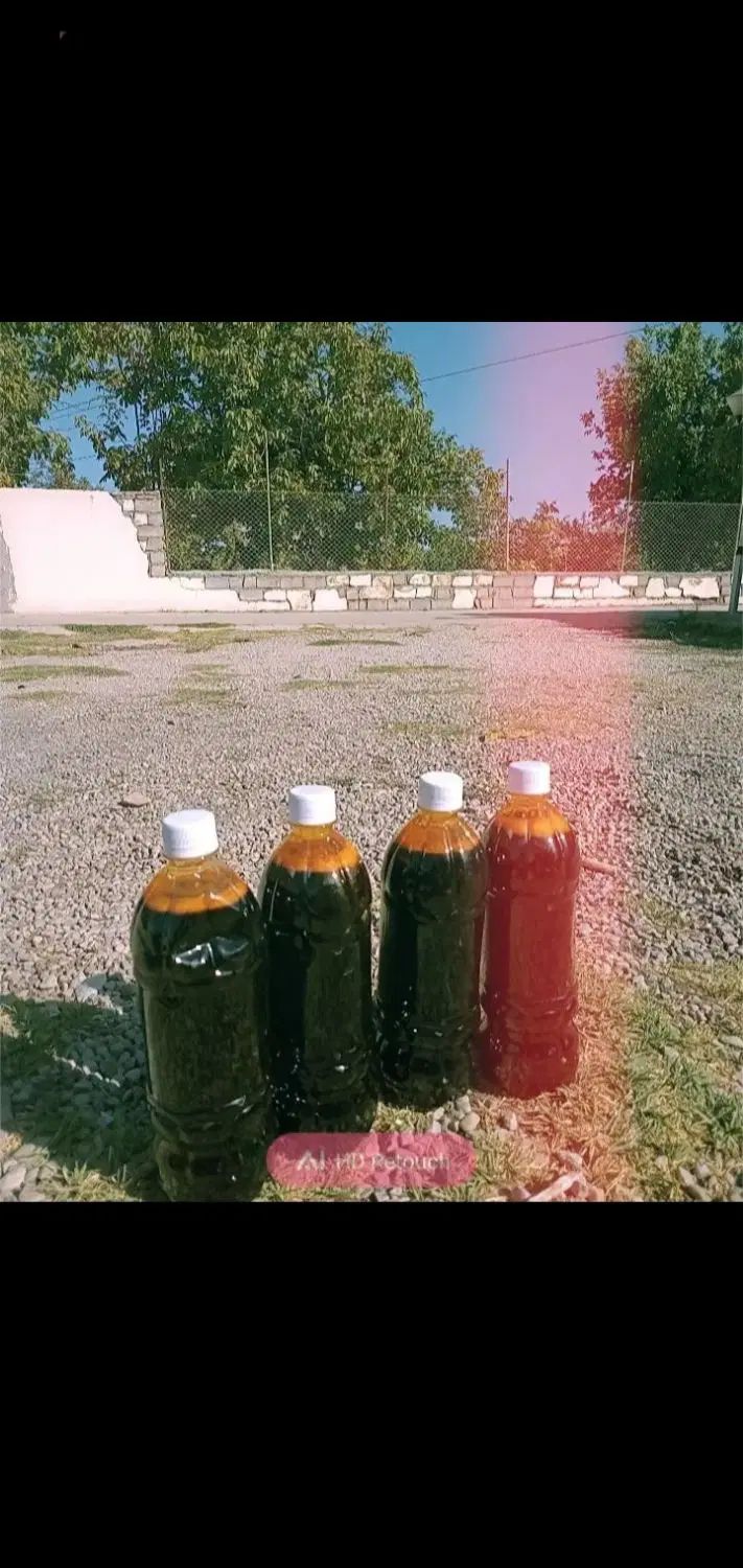 شیره انگور ۳۵۰ تومان .کشمش عسگری و پلویی ۲۲۰|خوردنی و آشامیدنی|سبزوار, فقیه سبزواری|دیوار