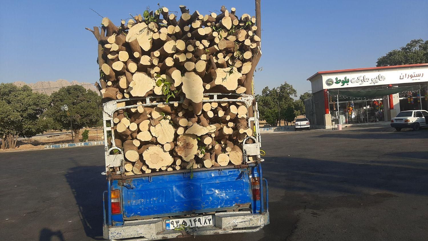 خریدارچوب وبریدن درخت|خدمات باغبانی و درختکاری|بندرعباس, |دیوار