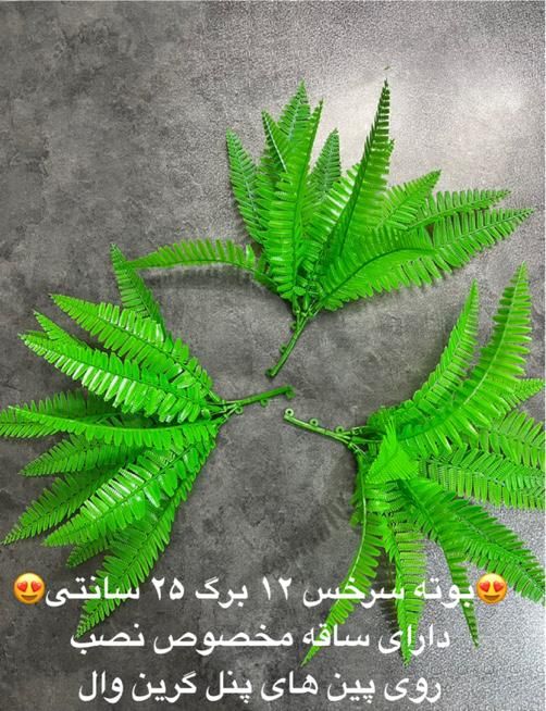 بوته تزئینی سرخس گرینوال|گل مصنوعی|تهران, نصرت|دیوار