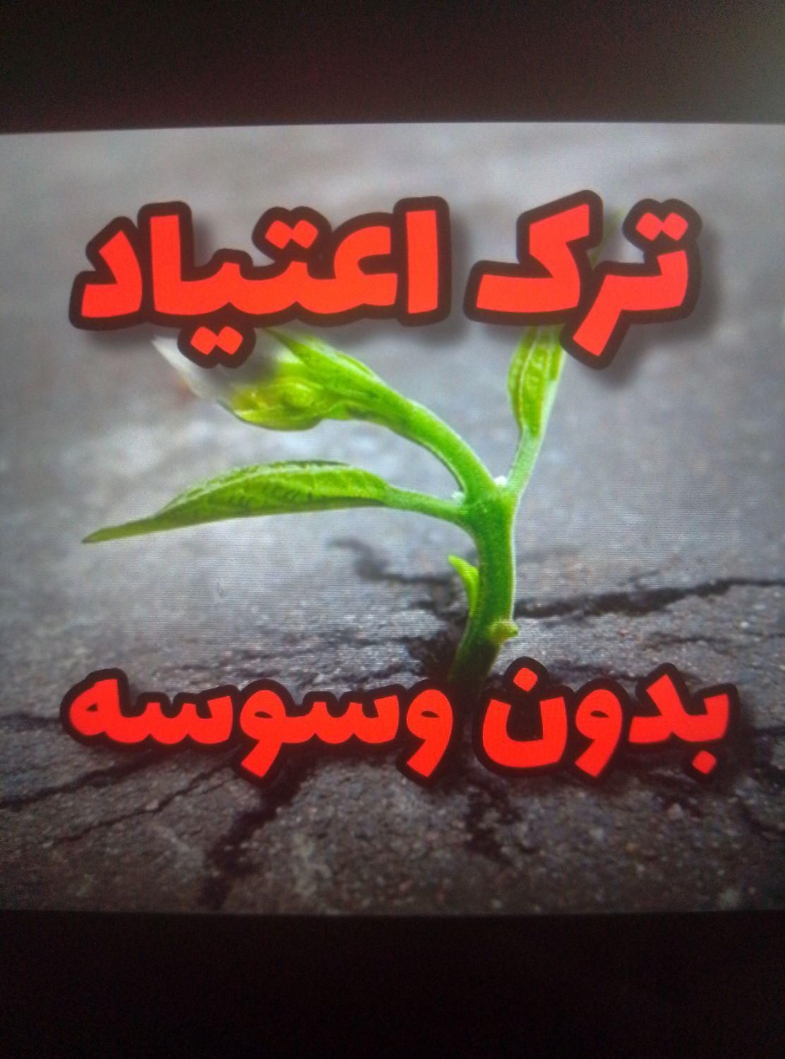 ترک انواع مواد مخدر بدون درد و خماری کاملا گیاهیی|خدمات آرایشگری و زیبایی|قشم, |دیوار
