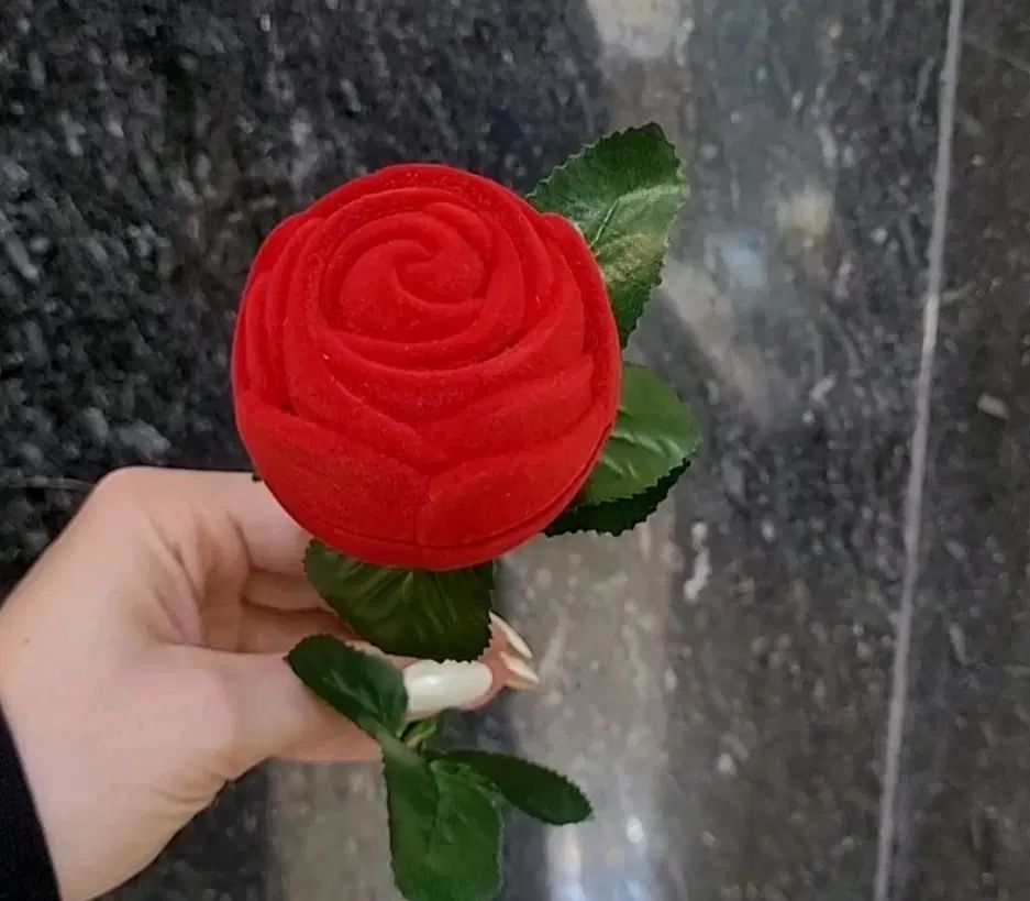 جعبه انگشتر مخمل|جواهرات|اصفهان, آفاران|دیوار