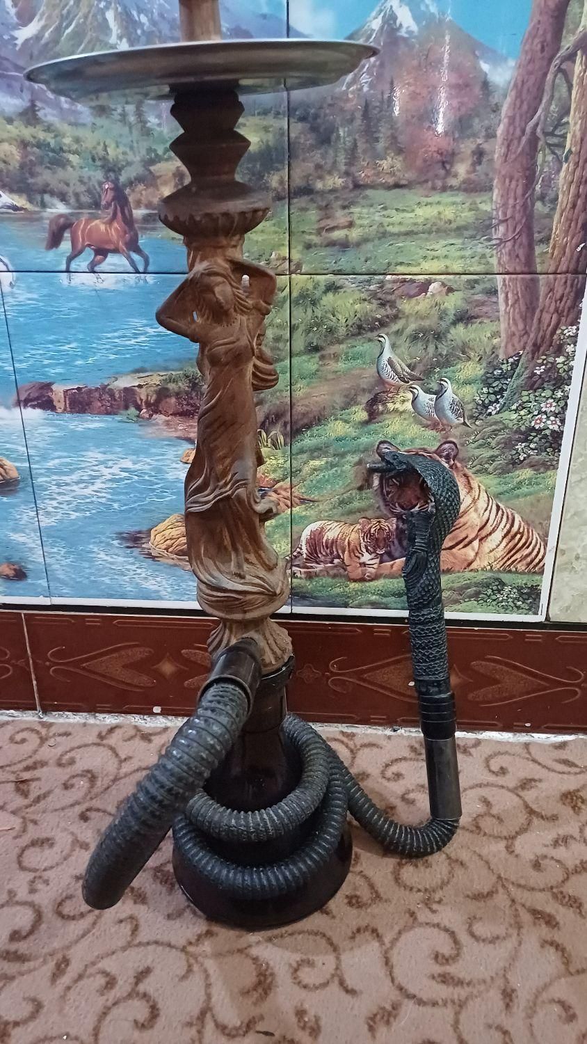 قلیون چوب گردو|کوهنوردی و کمپینگ|بندر ماهشهر, |دیوار