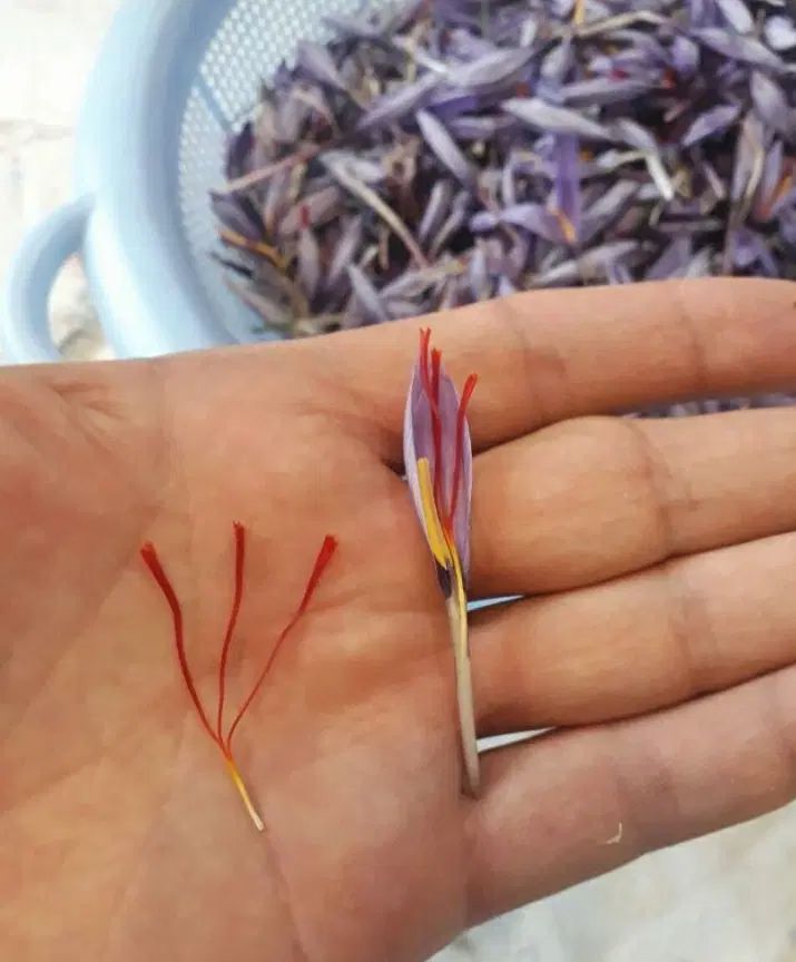 زعفران سوپرنگین صادراتی|خوردنی و آشامیدنی|تهران, تهرانسر غربی|دیوار