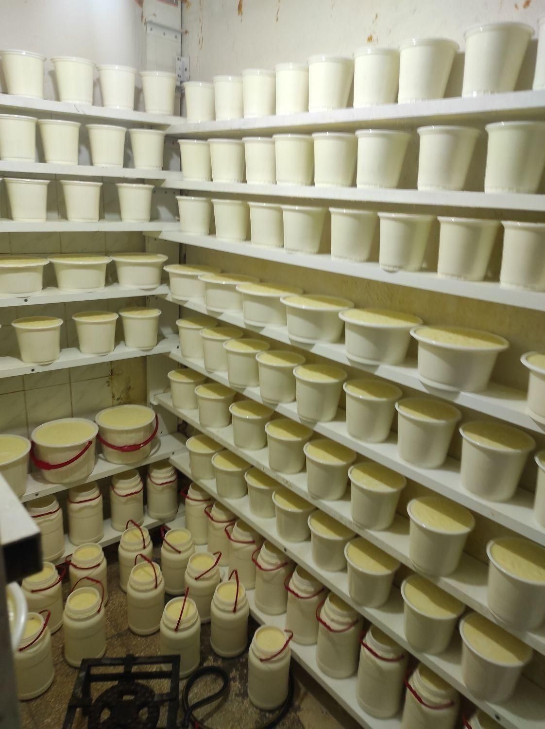 تولید ماست سنتی دوغ کشک سرشیر کره|خوردنی و آشامیدنی|تهران, مسعودیه|دیوار