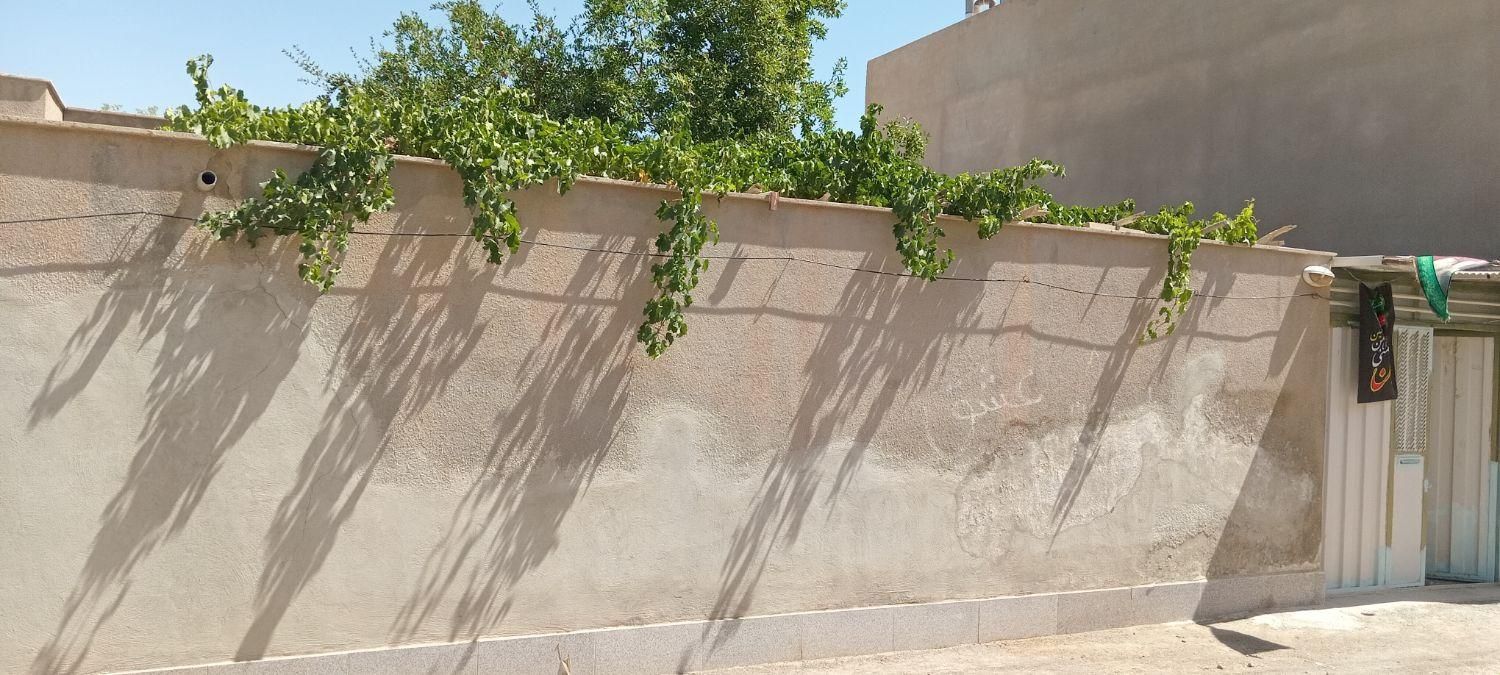 تصویر 11