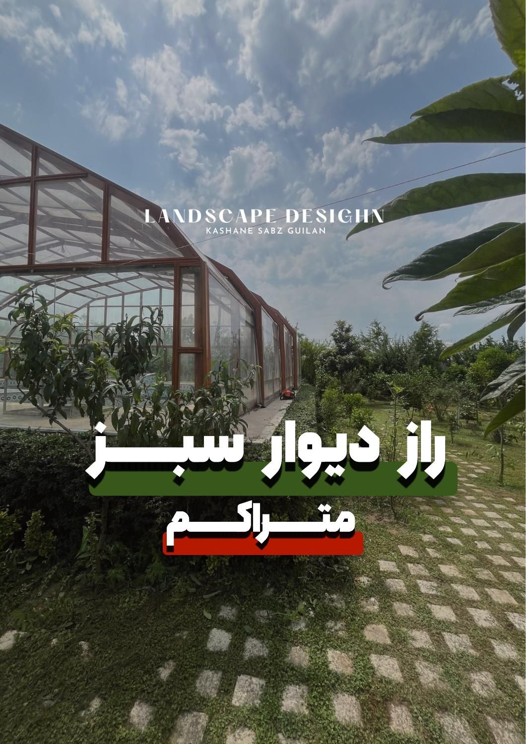 نگهداری و اجرا فضاسبز|خدمات باغبانی و درختکاری|رشت, لاکانی|دیوار