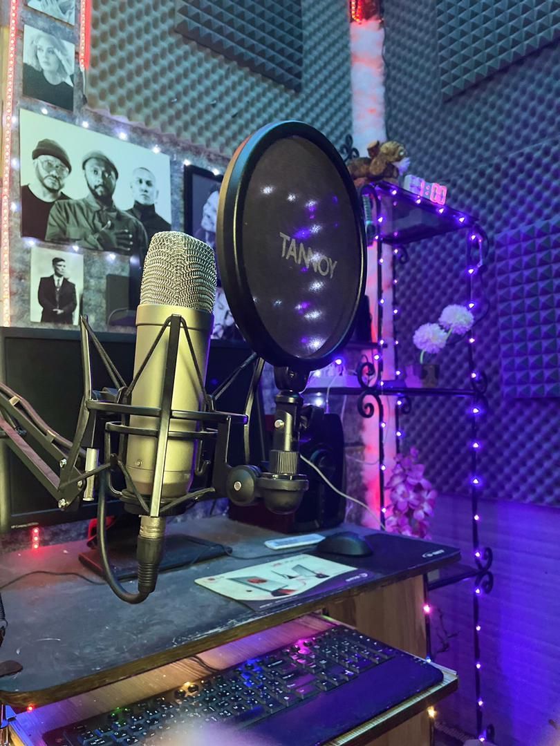 میکروفون TANNOY TM1 ساخت انگلیس|صوتی و تصویری|تهران, خرمشهر|دیوار