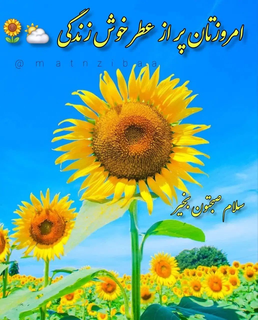 پرستار خانم برای سالمند آقا|استخدام درمانی، زیبایی، بهداشتی|رشت, منظریه|دیوار