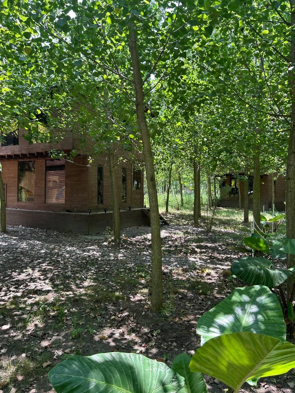 ویلا باغ چوبی/ در بهشت گمشده ایران|فروش خانه و ویلا|اسلامشهر, شهرک احمدیه|دیوار