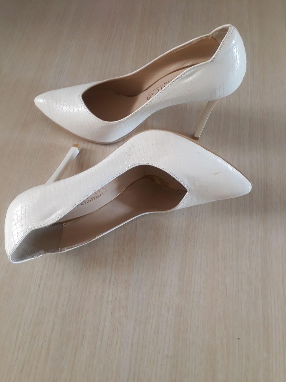 کفش مجلسی|کیف، کفش، کمربند|مرند, |دیوار