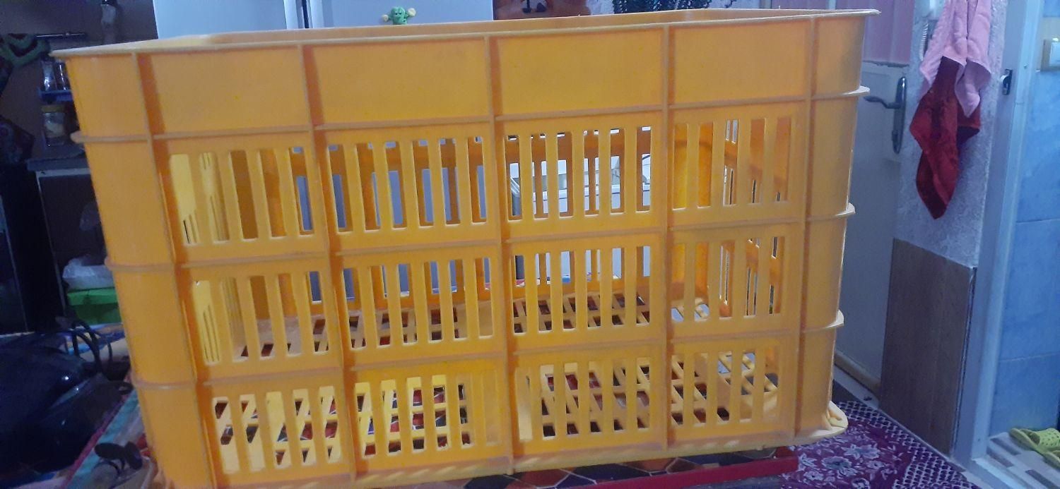 سبد بزرگ 60در30 سایت بزرگ|ظروف نگهدارنده، پلاستیکی، یک‌بارمصرف|شیراز, نصر|دیوار