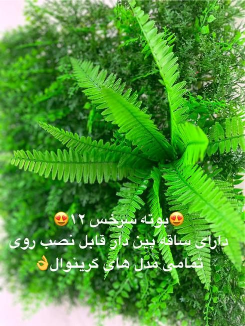 بوته تزئینی سرخس گرینوال|گل مصنوعی|تهران, نصرت|دیوار