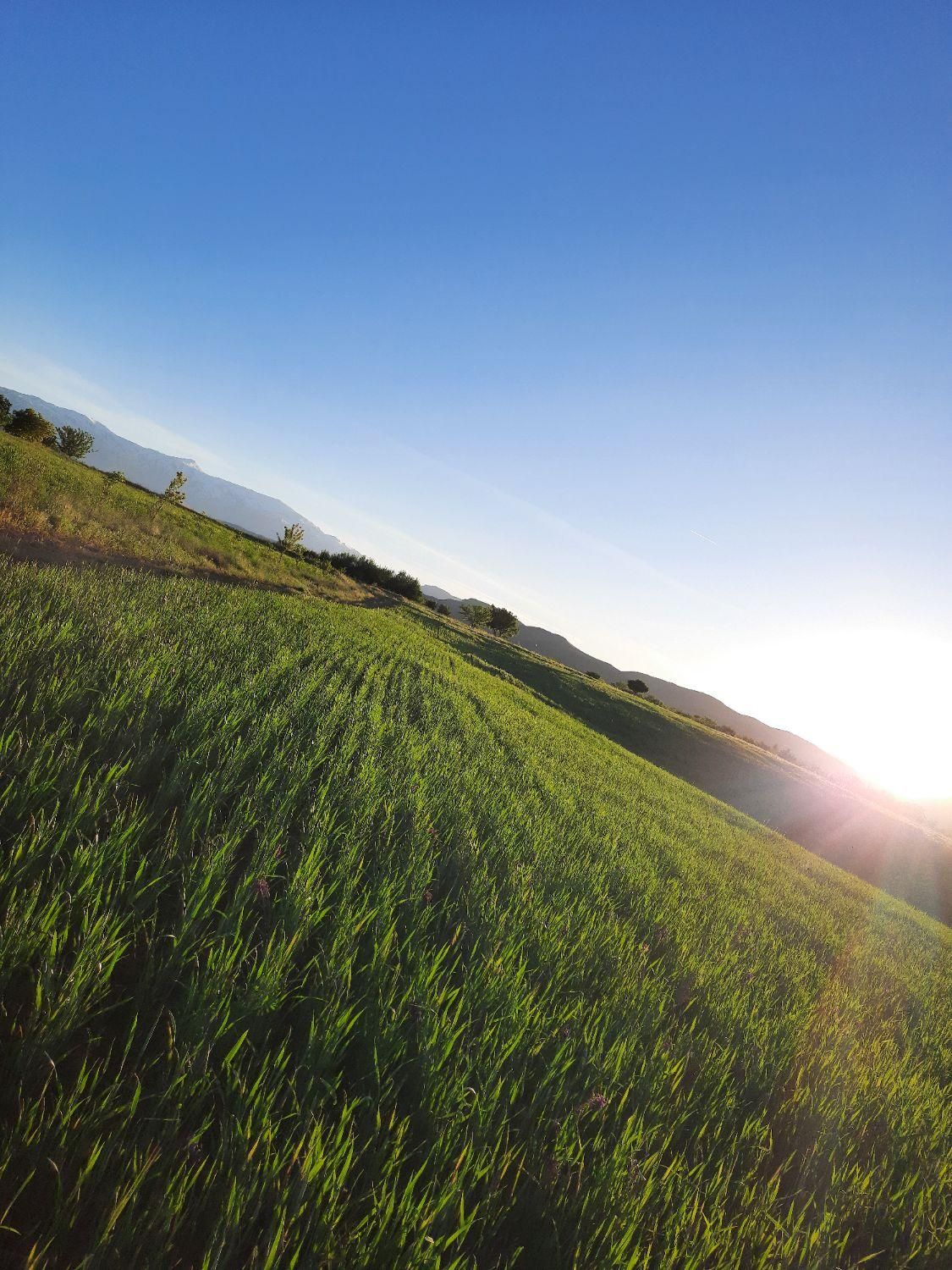 زمین کشاورزی در شهرستان اردل|فروش زمین و ملک کلنگی|اردل, |دیوار