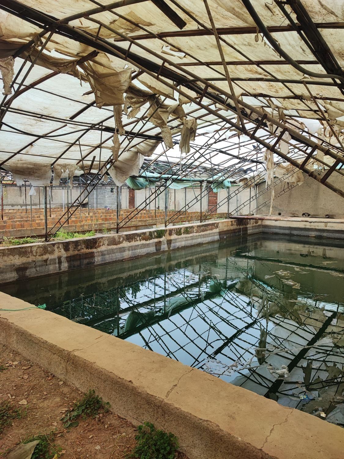 گلخانه آماده به کار در شهریار|فروش دفتر صنعتی، کشاورزی، تجاری|شهریار, اسکمان|دیوار